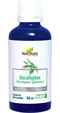 Eucalyptus