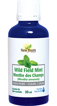 Wild Field Mint Pure Essential Oil