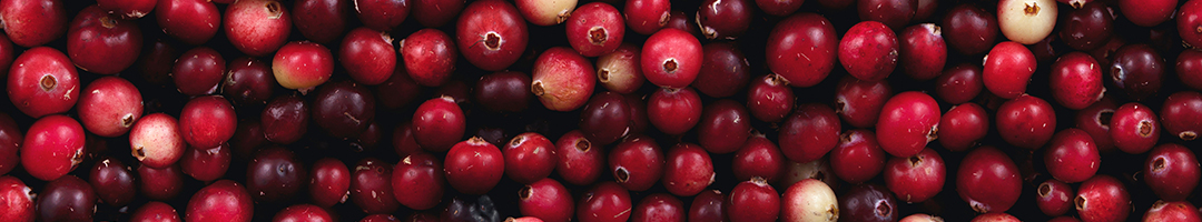 An Antioxidant-Rich Oil