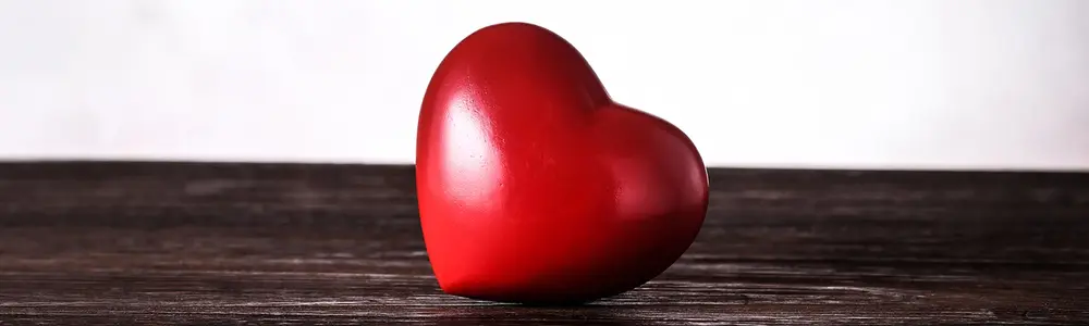 Show Your Heart Some Love